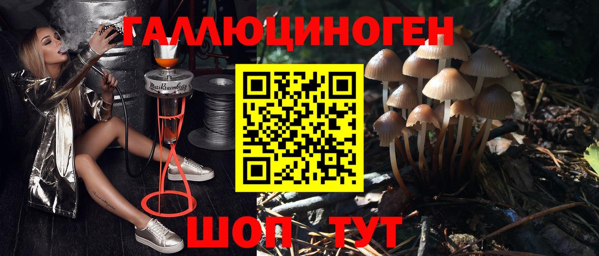 Галлюциногенные грибы Psilocybine cubensis  Галлюциногенные грибы мицелий  Вход с VPN  Семёнов 